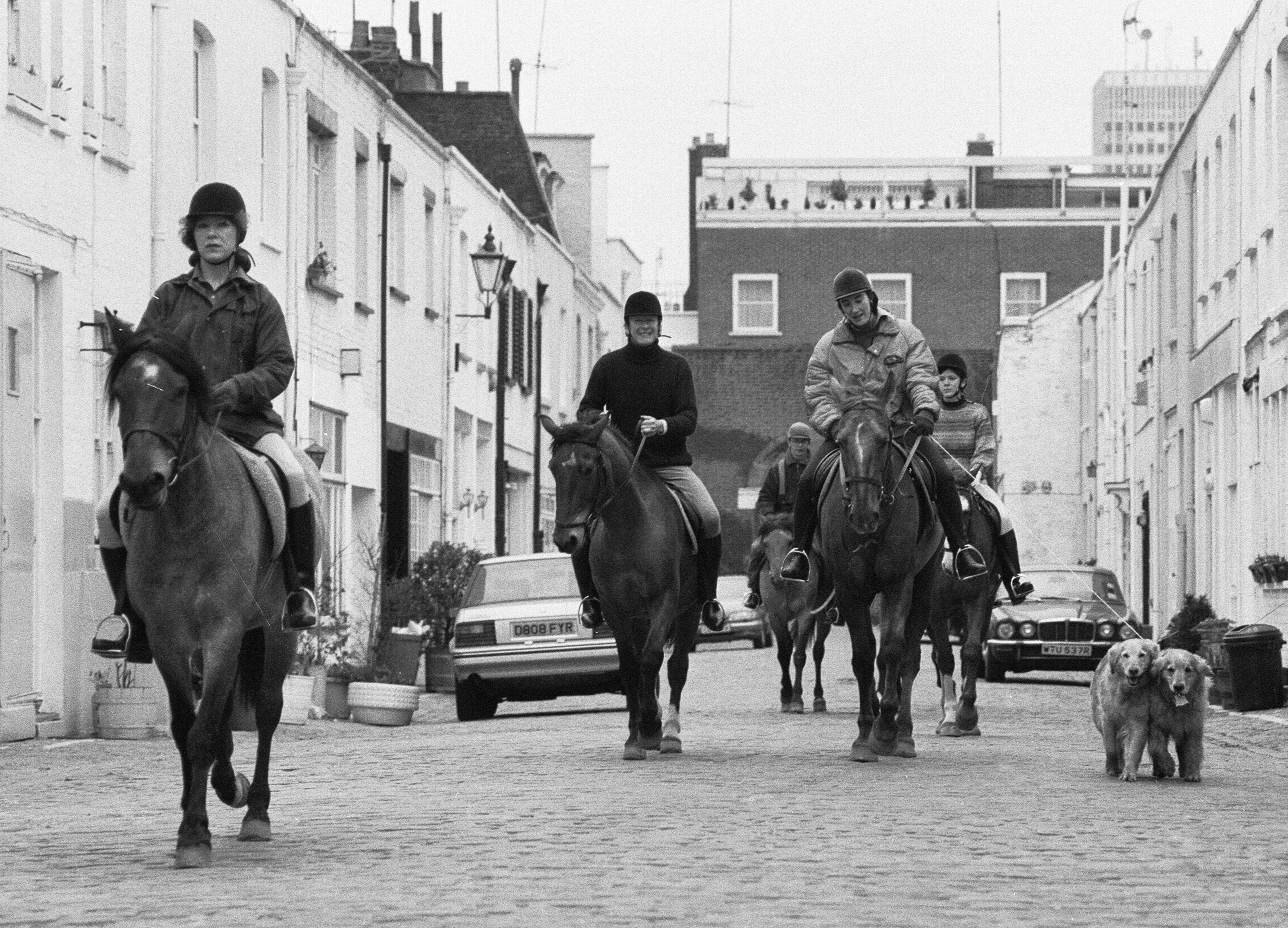 Horse riders in Hyde Park Gardens Mews on their way to the stables in Bathurst Mews. 17th March 1987