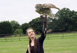 This day trip to Kent was organised by Wild Life and Sky Birds of Prey