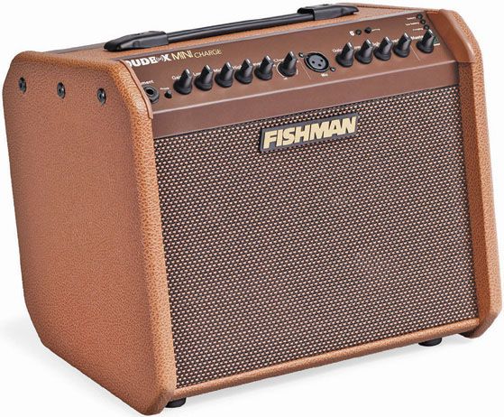 Cool Fishmen New and Cool: Fishman Loudbox Mini Charge Amp | Guitar World