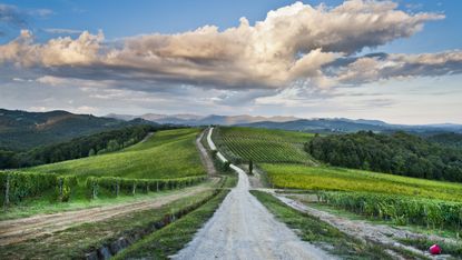 tuscany_landscape.jpg