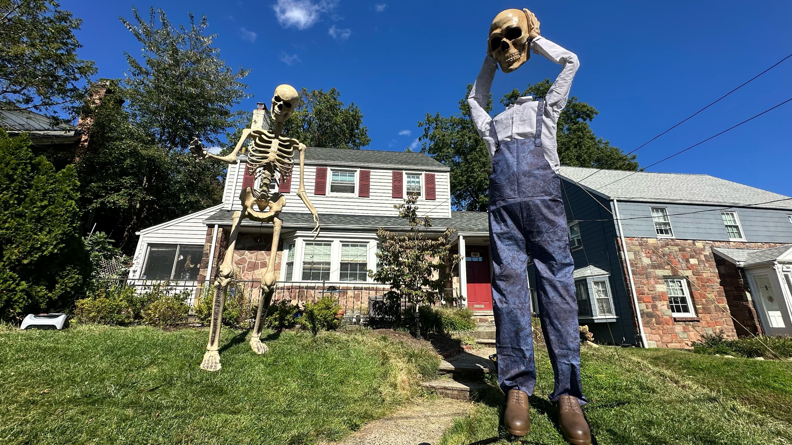 Home Depot and Lowe's skeletons