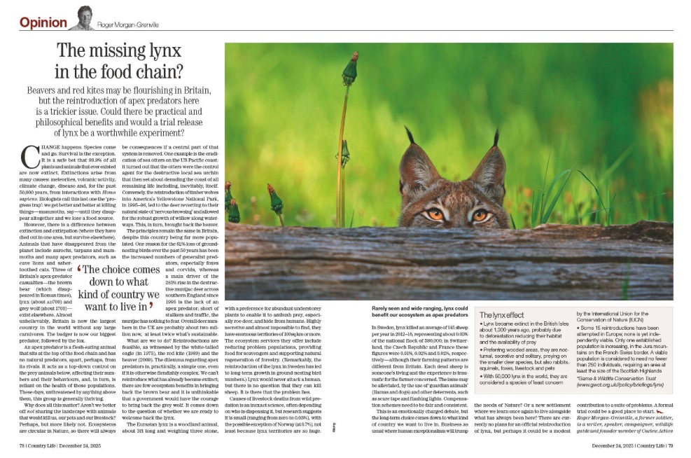 Spread from Country Life 24 December 2025