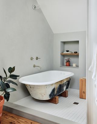 Grey bathroom with green plant in pot and Victorian bath tub