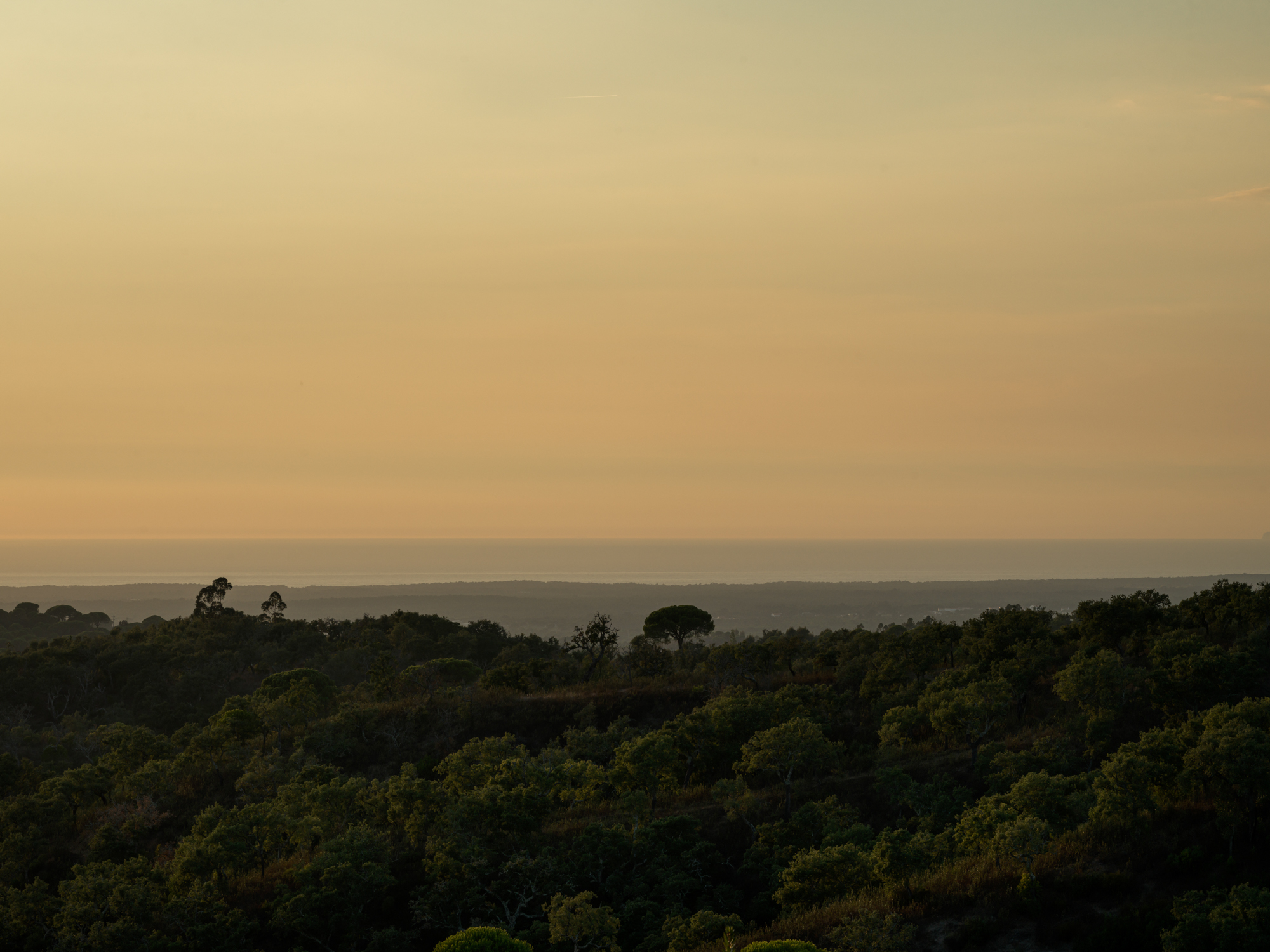 rockrose melides portugal hotel review
