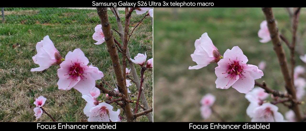 Comparing telephoto macro shots with the Focus Enhancer feature enabled and disabled