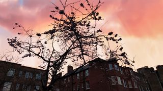 Xiaomi 12 camera sample