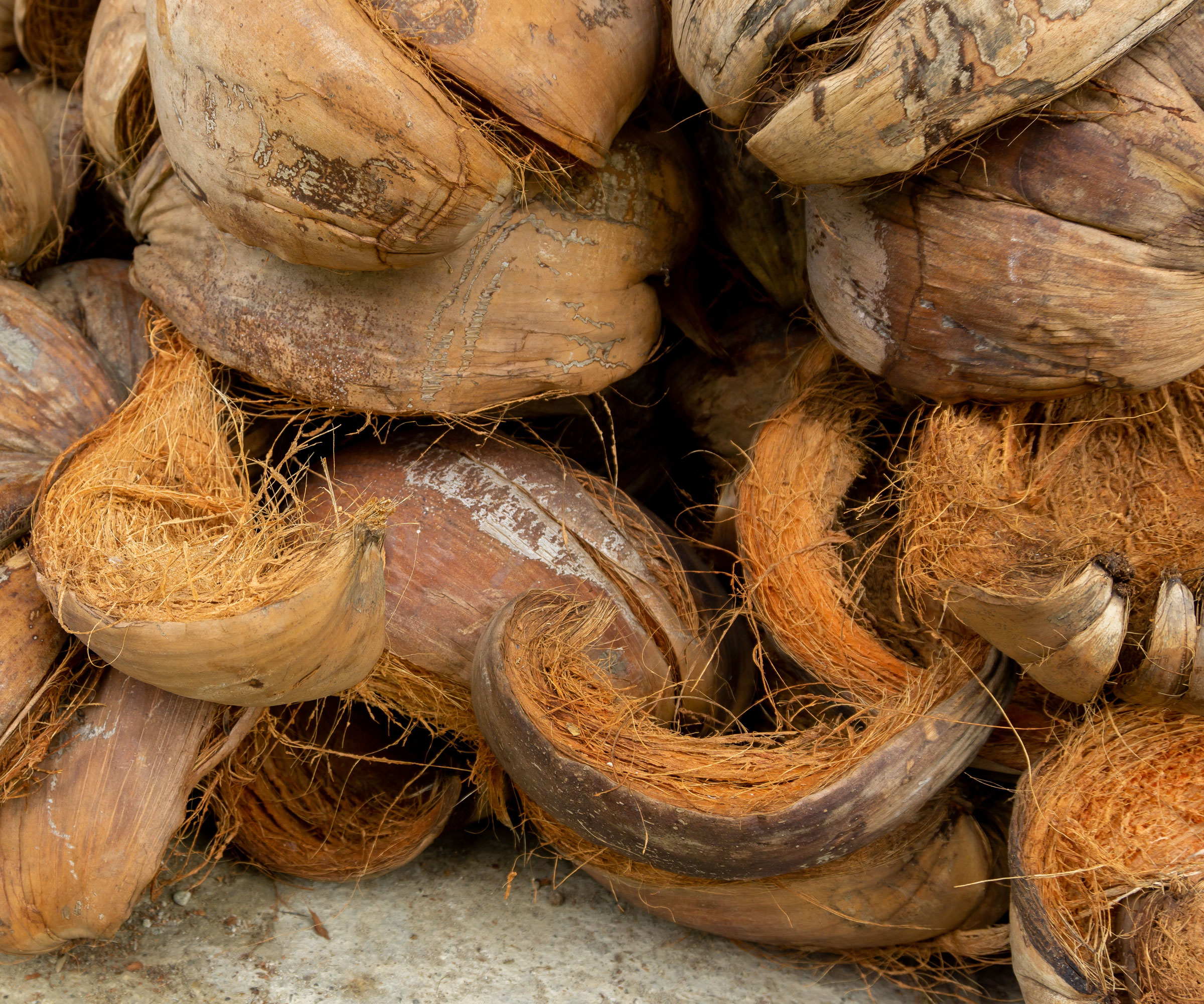 coconut shell pieces on table