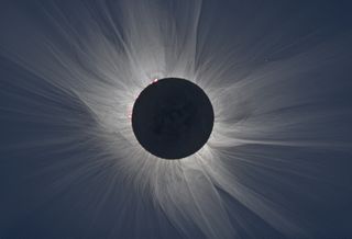A white-light image of the sun's atmosphere during a total solar eclipse.