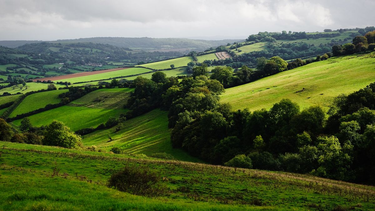 best walks in the Cotswolds: Cotswold countryside