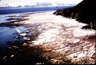 1964 Alaska earthquake uplift