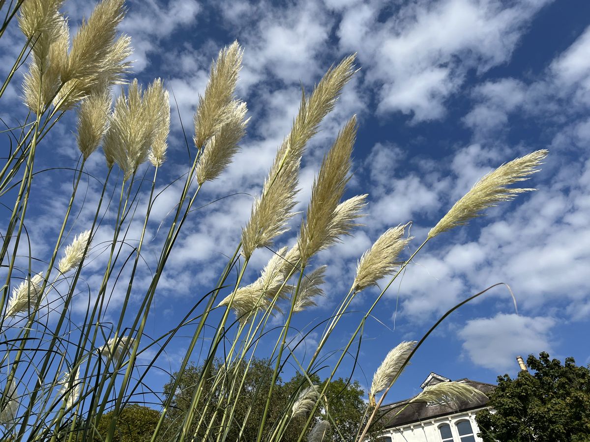 Camera samples from the iPhone 13 showing what the camera is capable of