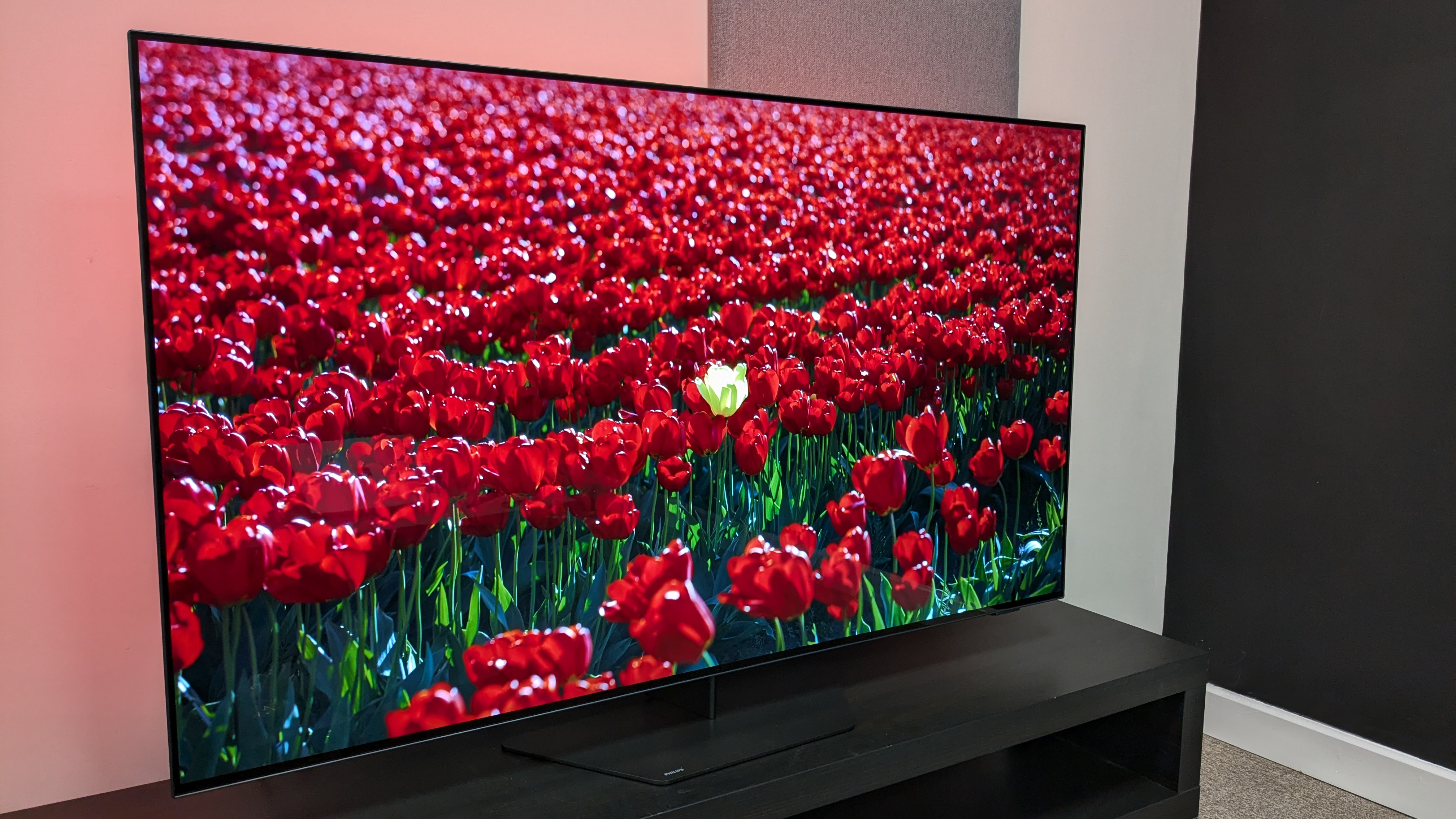 Philips OLED809 with red flowers on display with red ambilight