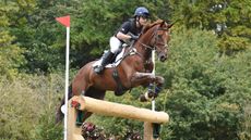 Luhm&uuml;hlen five-star: Ben Hobday and Shadow Man are among the entries