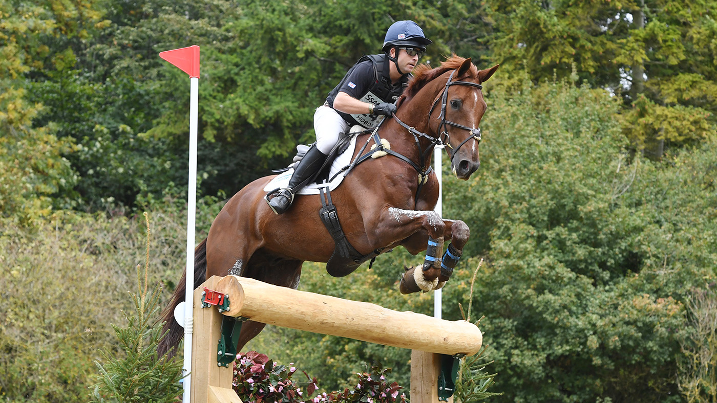 Luhm&amp;uuml;hlen five-star: Ben Hobday and Shadow Man are among the entries