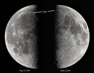 During each 29.5-day orbit, the moon's phase changes from new, to first quarter, to full, to last quarter. In this pair of matched images taken 16 days apart by lunar photographer Michael Watson of Toronto, the moon has transitioned from last quarter (at left) to first quarter (at right). In that interval, the moon's apparent size has decreased slightly. And due to libration, features such as the dark, circular crater Plato on the northern edge of the lava plain Mare Imbrium have been carried higher and to the right, toward the center-line terminator.