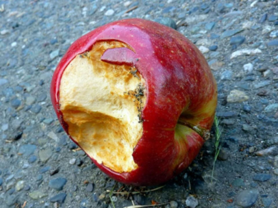 Apple Has a Major Quality Control Problem Tom's Guide