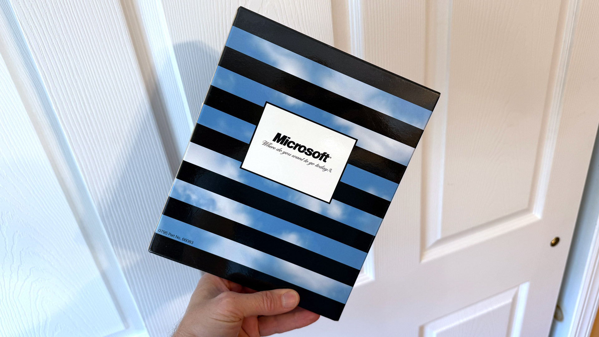 Windows 95 launch