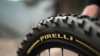 Pirelli and Fabien Barel