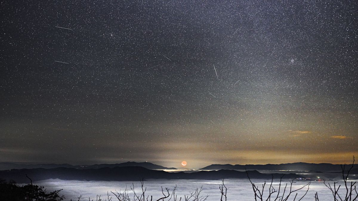 See The Perseid Meteor Shower 2023 Light Up The Skies In These Gorgeous ...