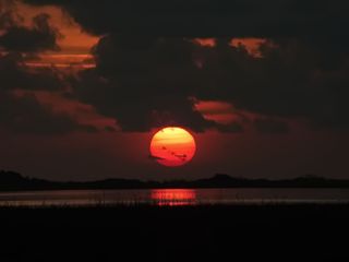 GuruShots - Sunrise VS Sunset