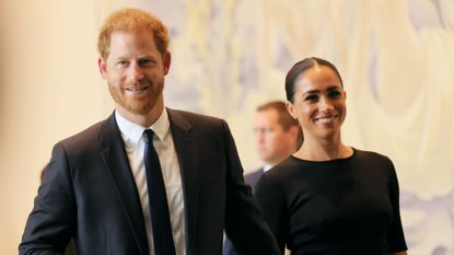 Prince Harry and Meghan have made an interesting career move as they purchase the rights to the novel, Meet Me at the Lake