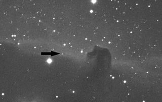 Asteroid 4451 Grieve and Horsehead Nebula
