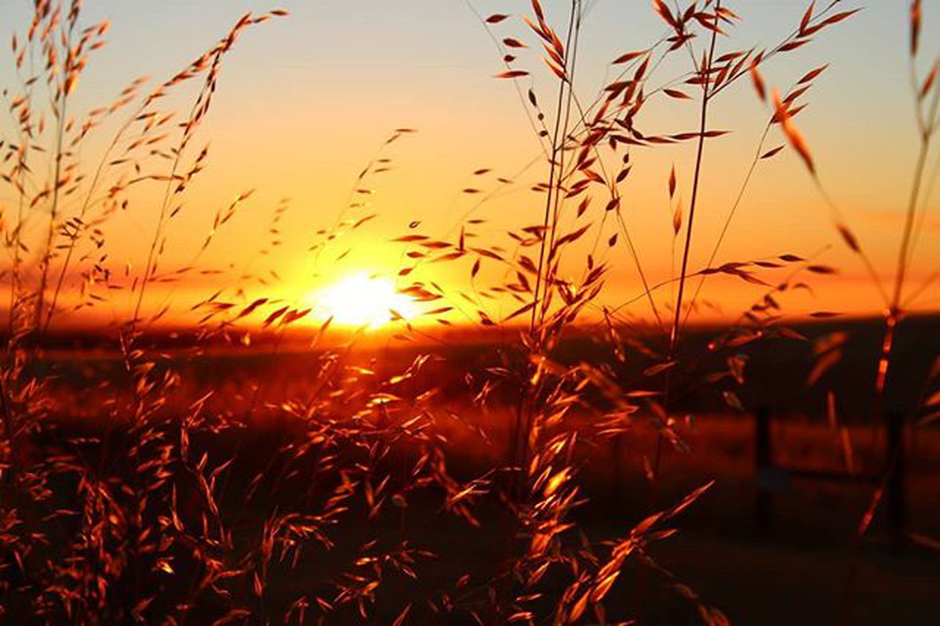 GuruShots - Vivid Landscapes March 2026