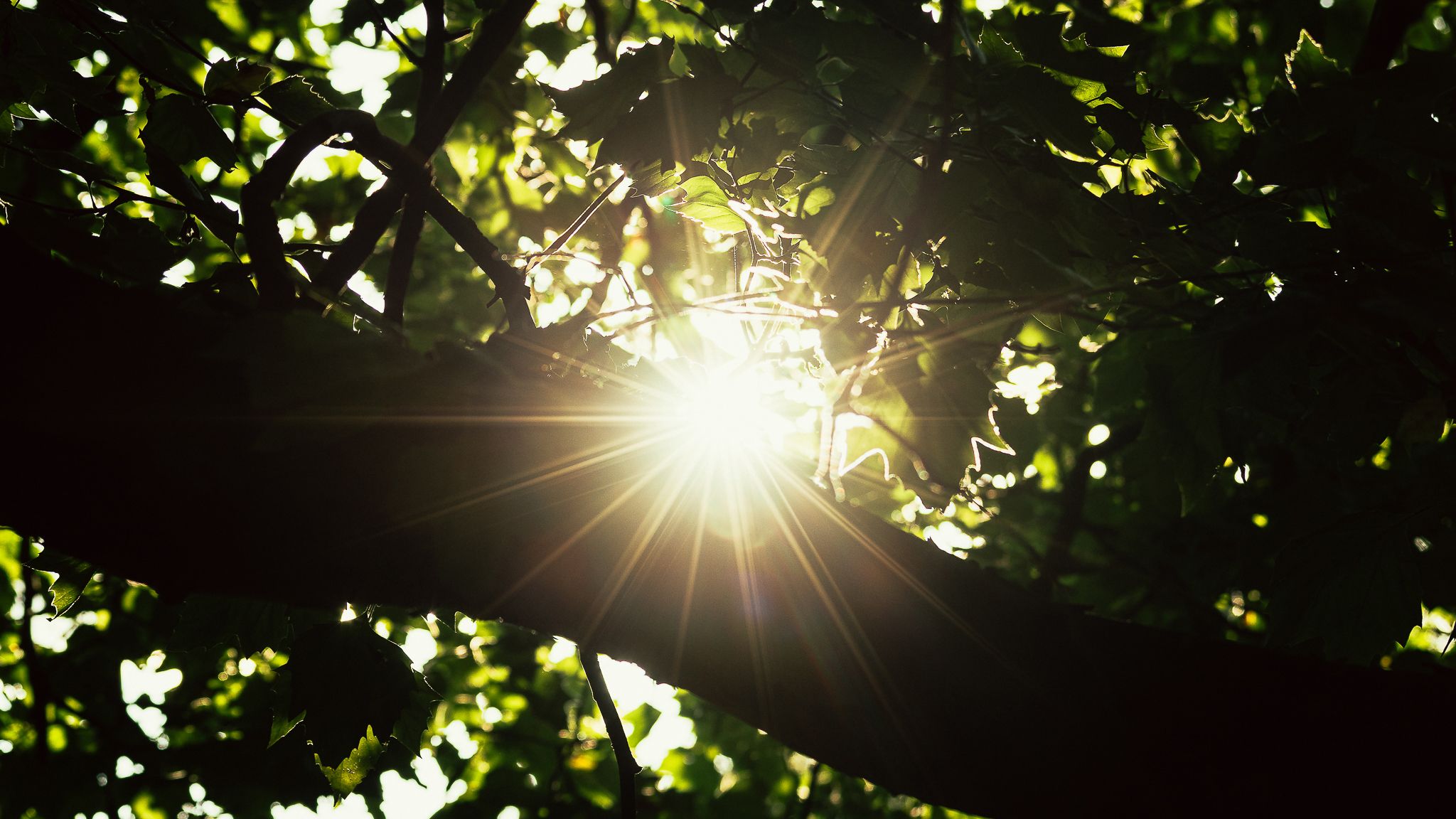 Here's what I learned over time as a photographer