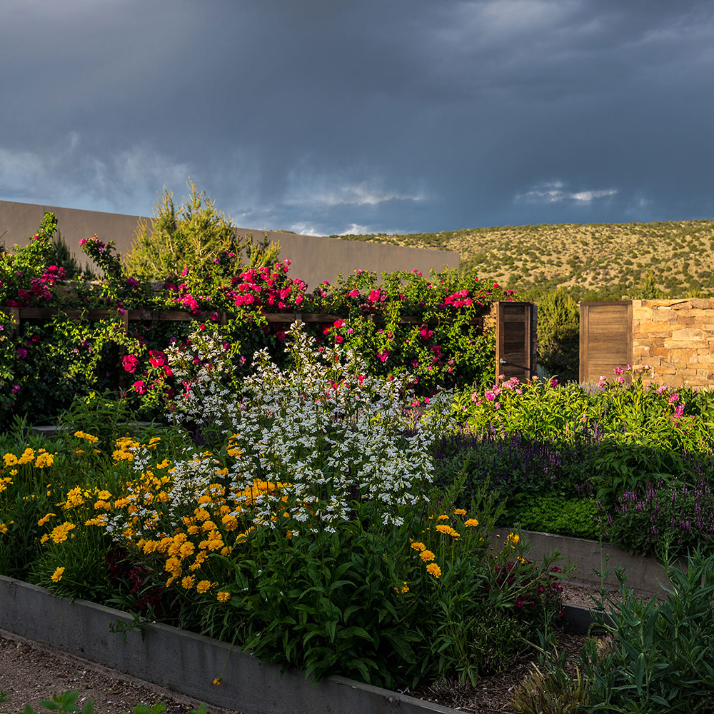 garden area with flowers