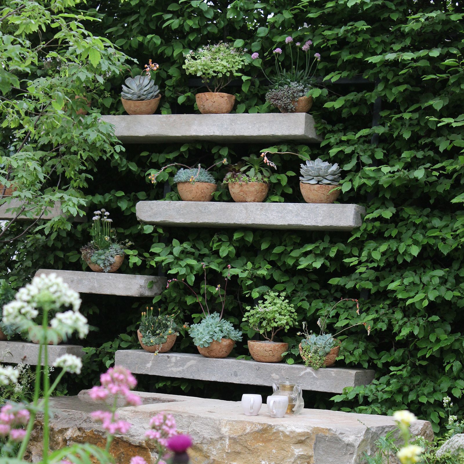 How Often Should You Water Succulents Ideal Home How often should you water succulents ideal home