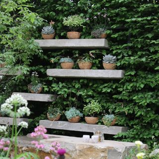 Stone shelving on garden wall with pots of succulents