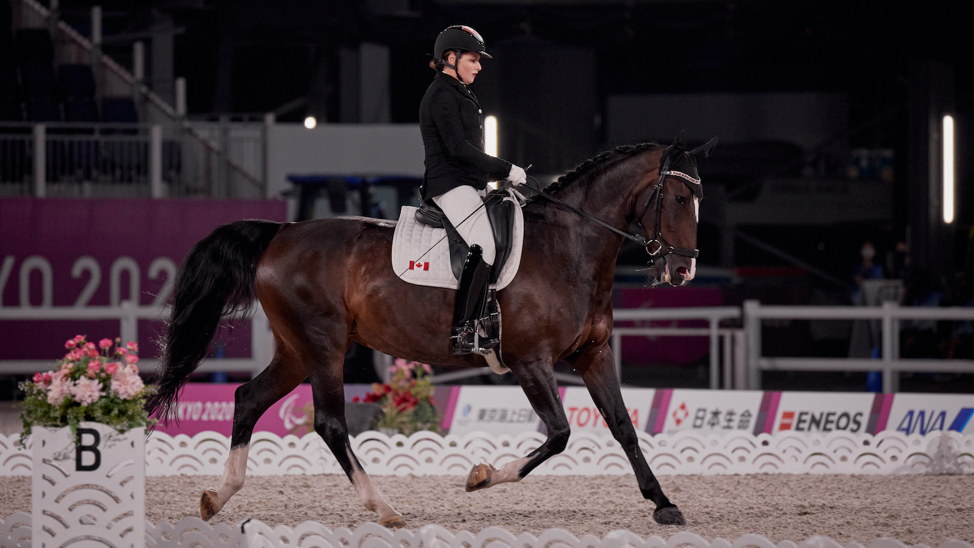 Bert Sheffield and Fairuza in the team dressage at the Tokyo Paralympics