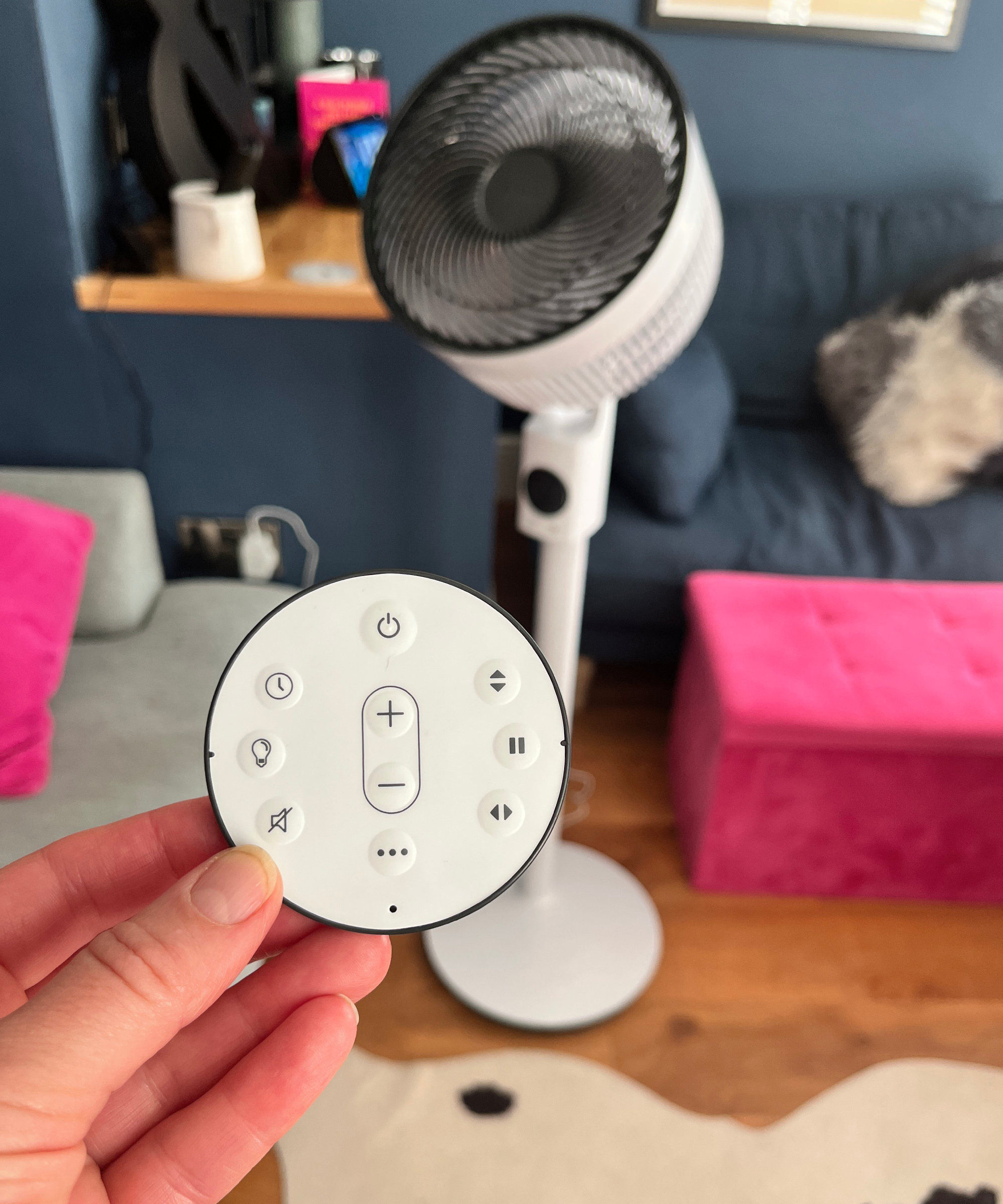 hand holding round remote control with fan in background in living room with blue chair, pink footstool and pale blue sofa