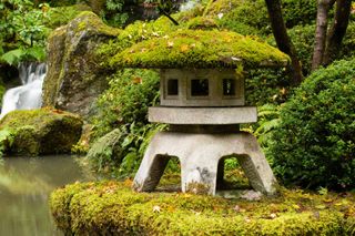 small pagoda lantern covered in moss