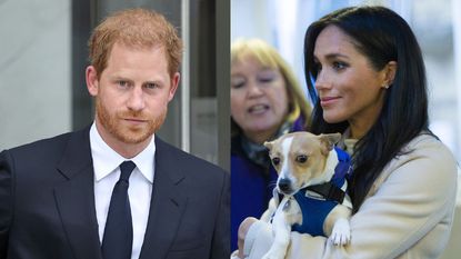 Prince Harry reveals what happened to Meghan's 'traumatized' dog Bogart before royal wedding 