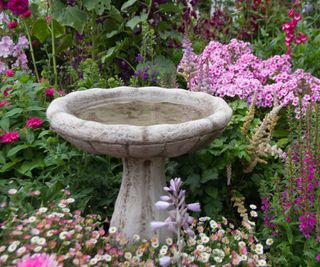 bird bath situated near mixed tall plants and shrubs