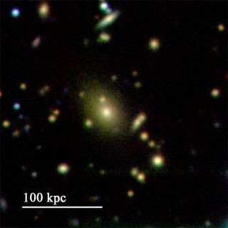 Magellan PISCO image of the inner part of the galaxy cluster, showing the central giant elliptical galaxy.