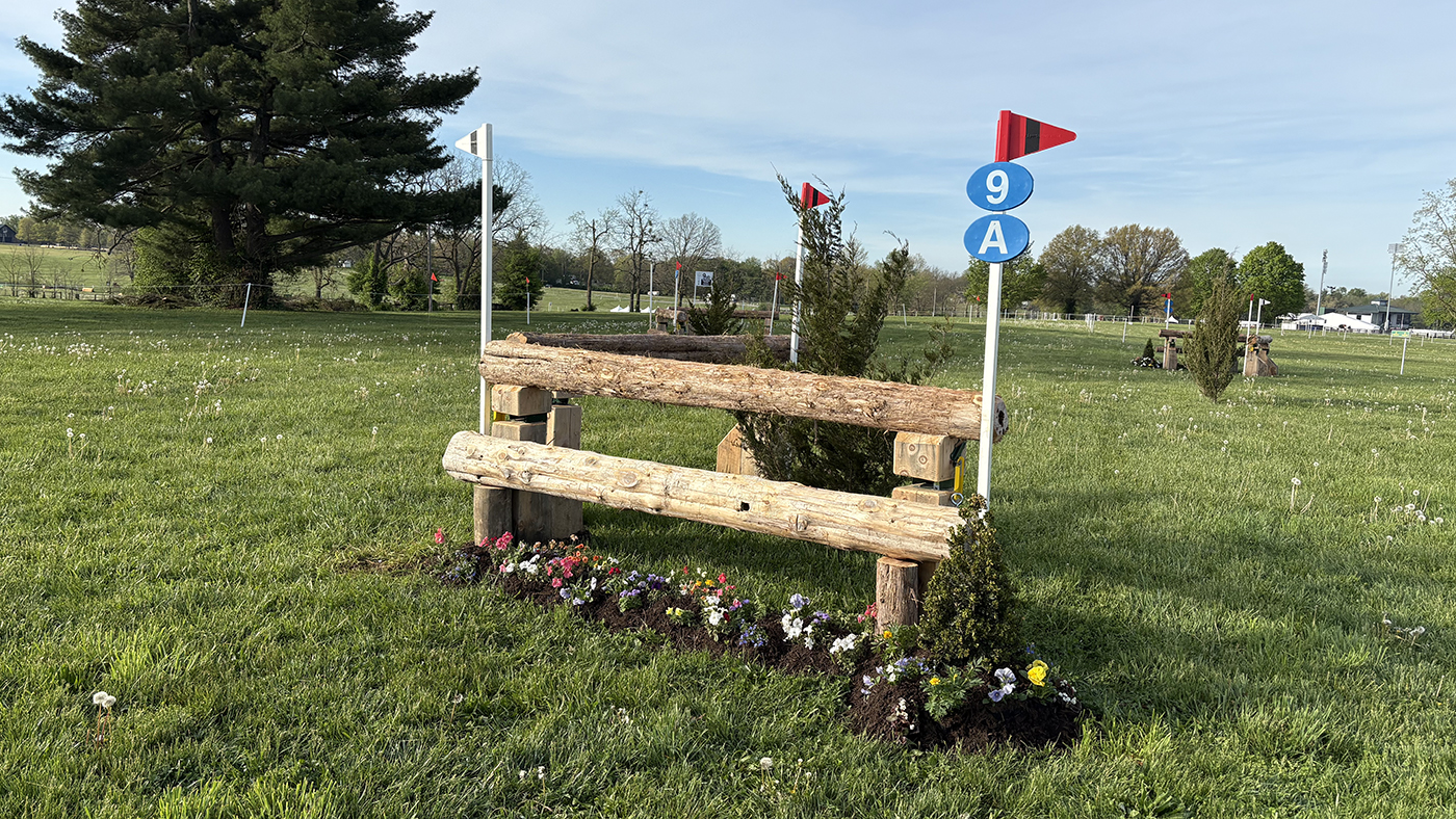 Fence9a