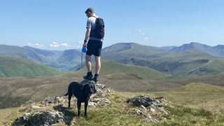 7 things I wish I'd known before I started peak bagging: hiking with a dog