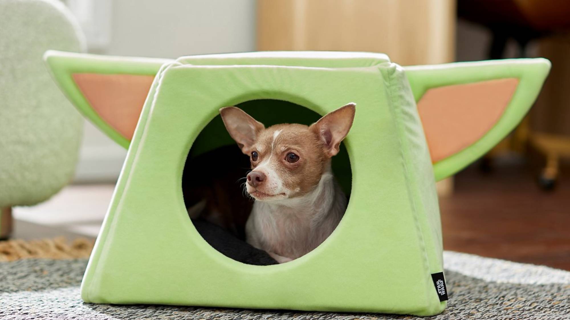 A chihuahua in a Star Wars doggy bed