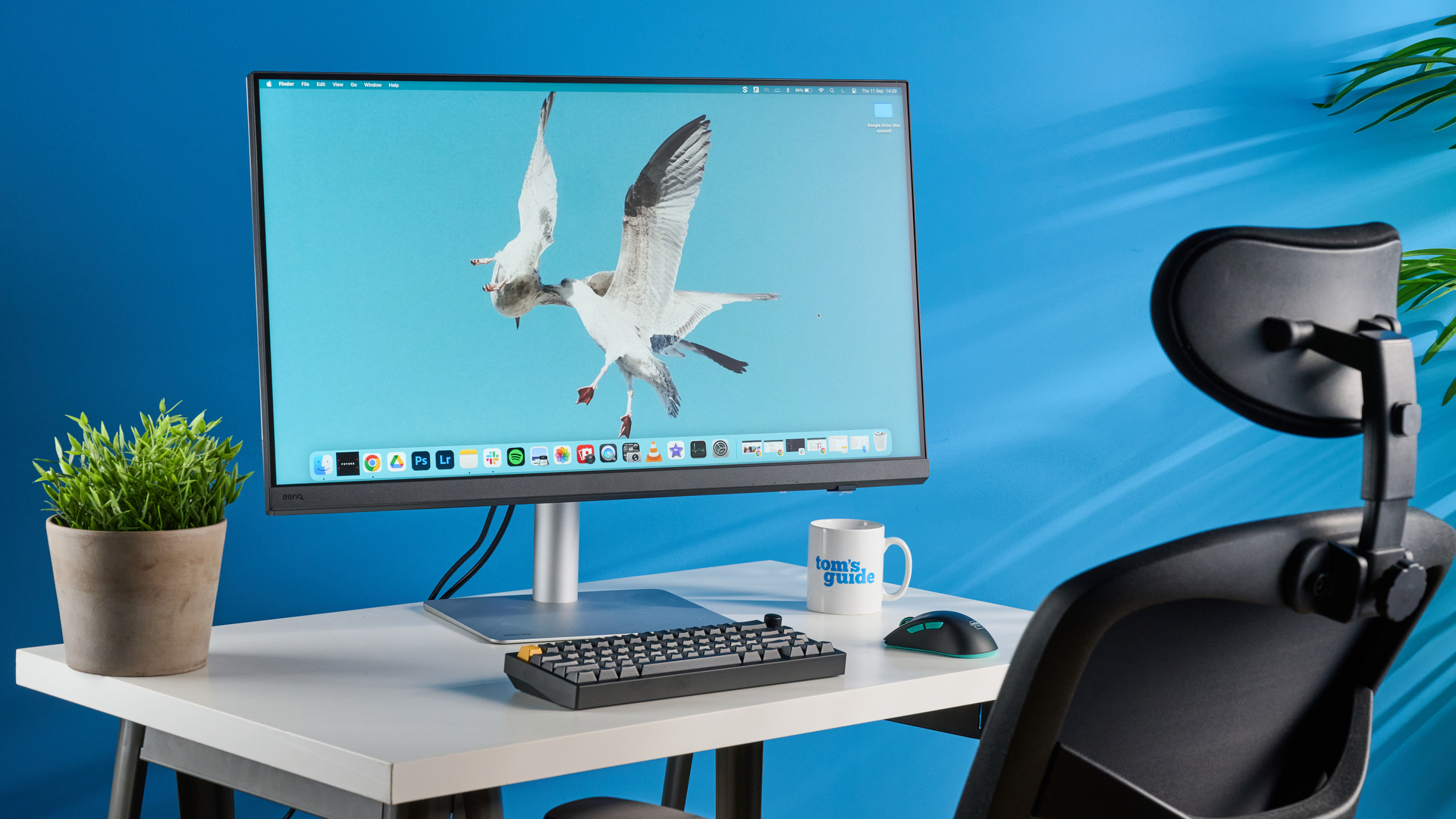A photo of the BenQ PD3226G monitor in a blue-walled studio