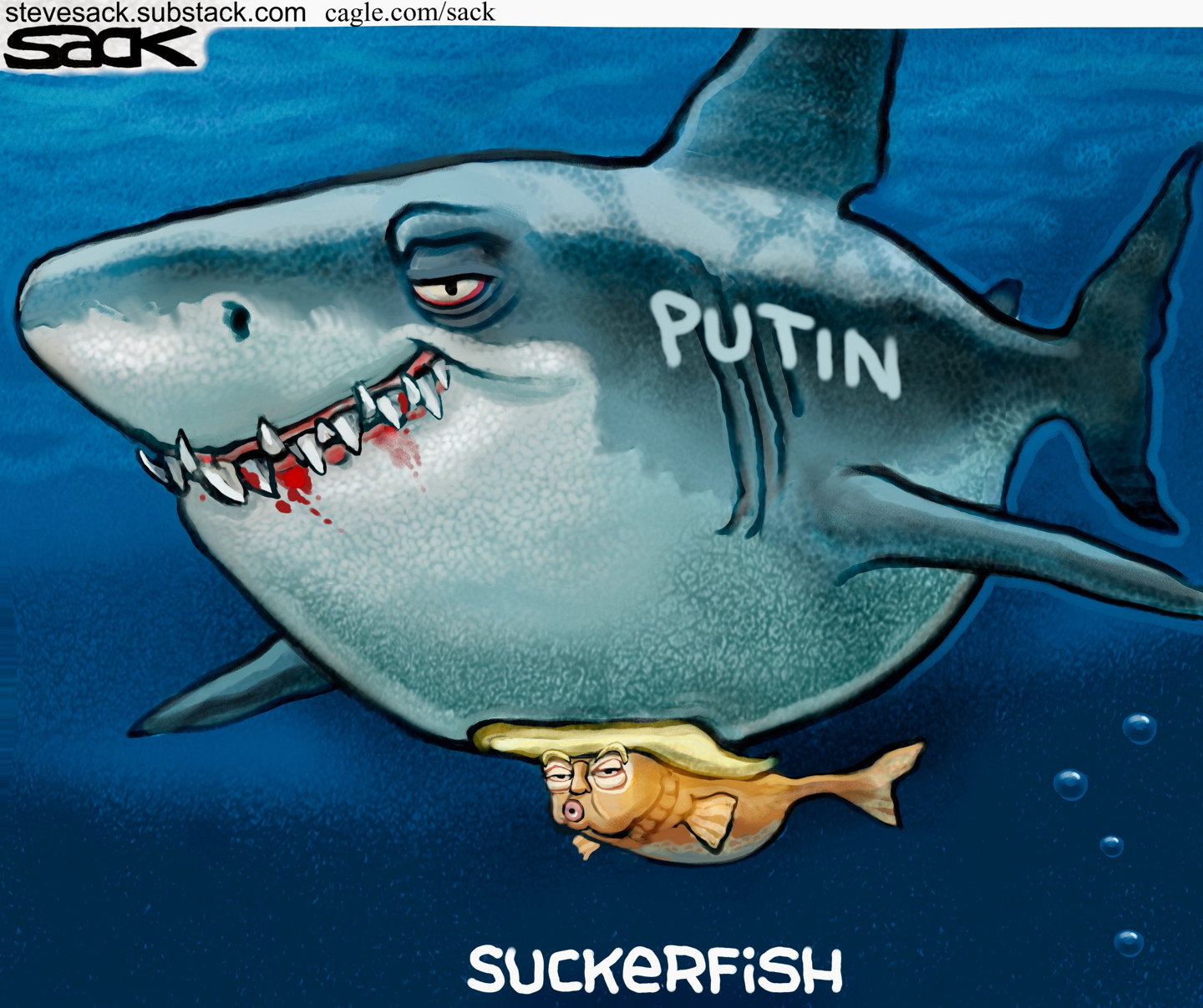 Political Cartoon