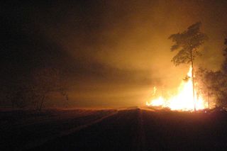 Flames (20 meters in height) at the forest edge during an experimental fire in the southern Amazon.