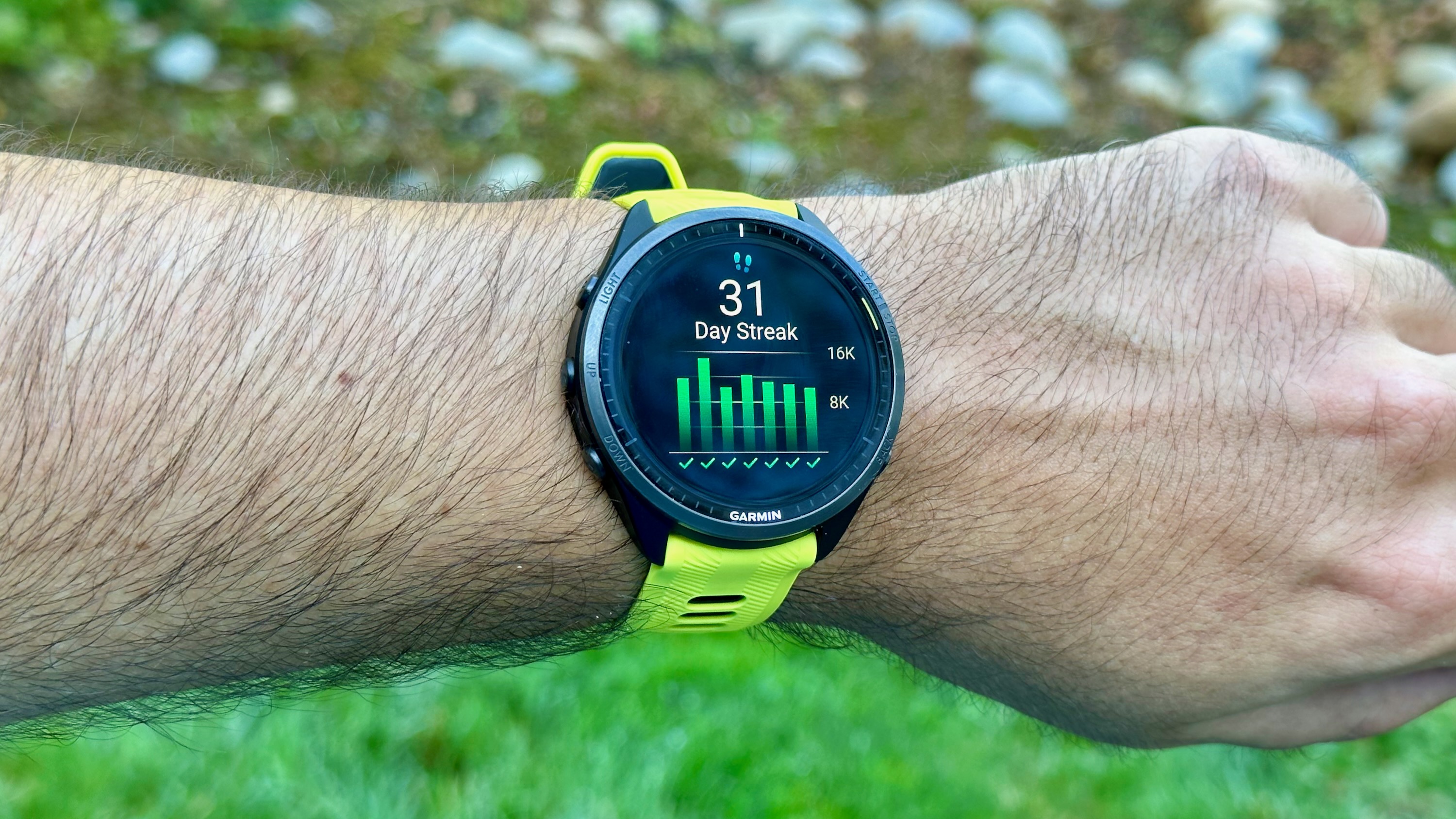 A 31-day walk streak graph on the Garmin Forerunner 965