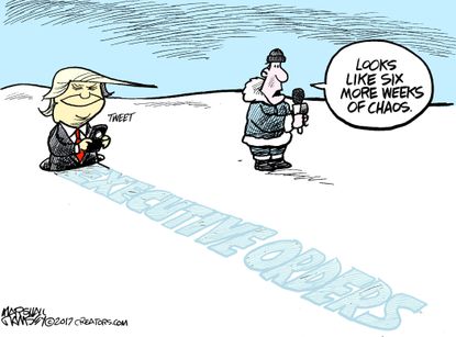 Political Cartoon U.S. Trump tweets groundhog day chaos