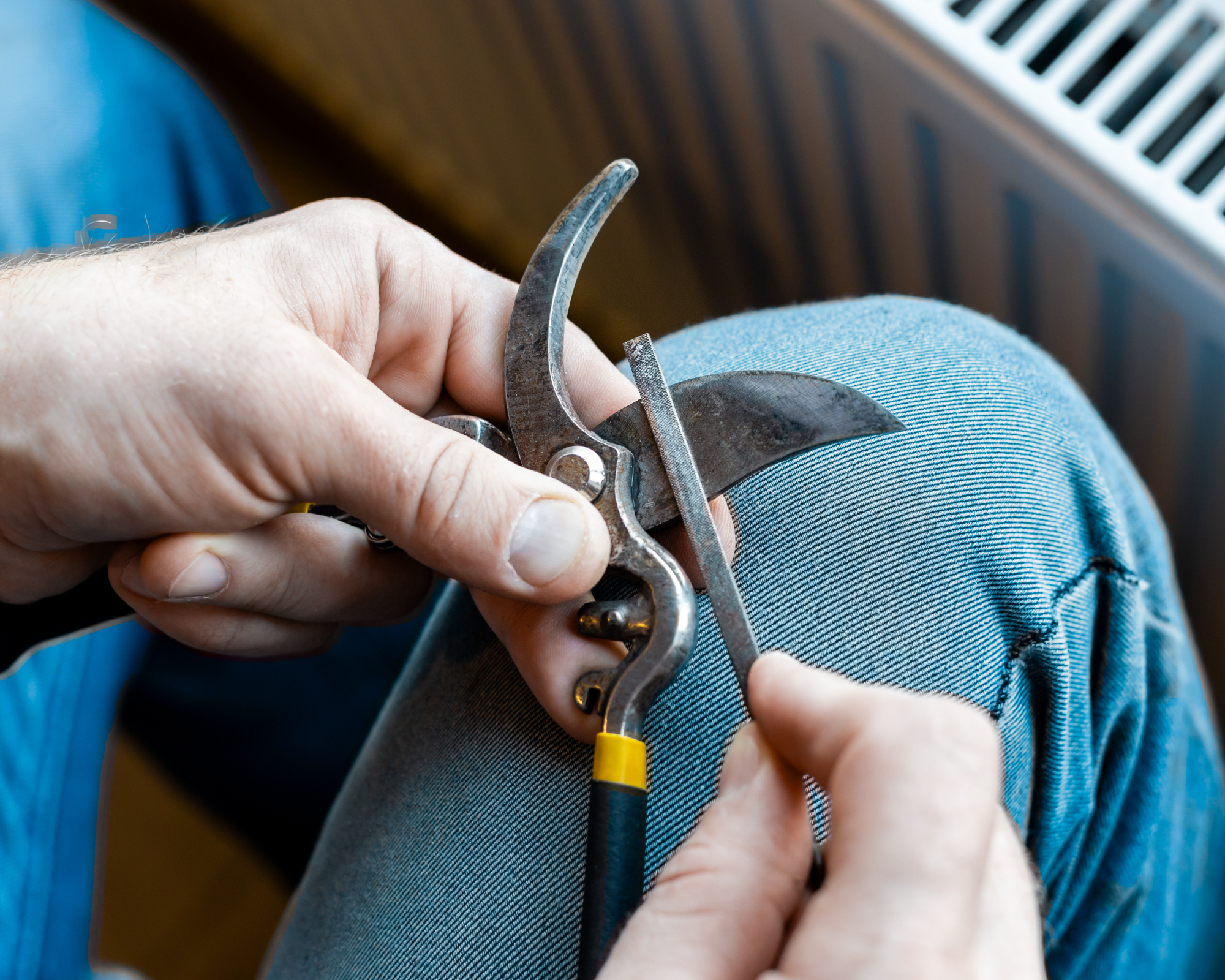 man sharpening pruners