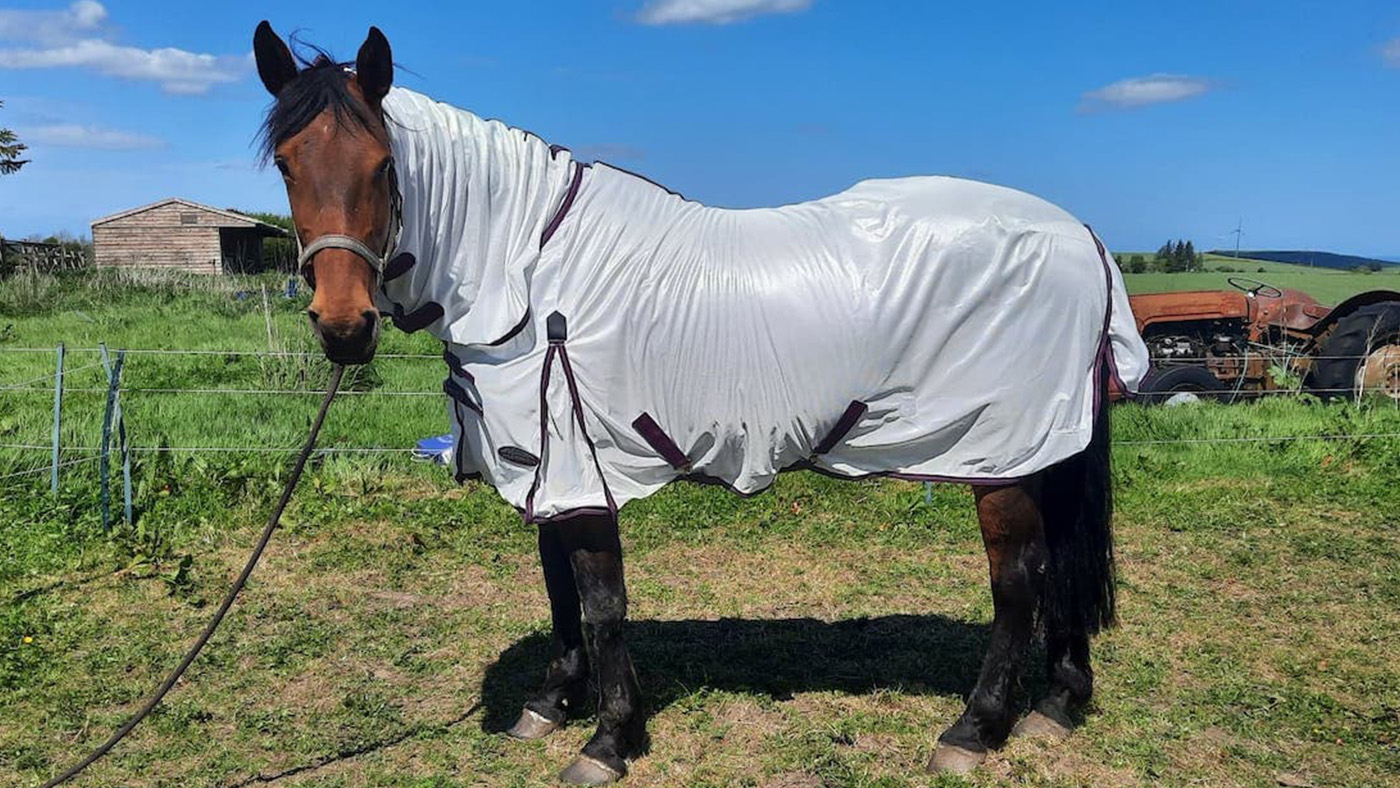 WeatherBeeta-review.jpg