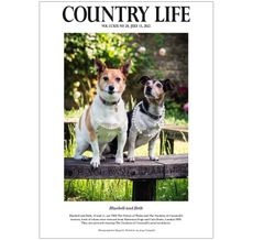 Bluebell (left) and Beth (right), as seen in the 13 July 2022 Frontispiece of County Life Magazine. ©Anya Campbell for Country Life