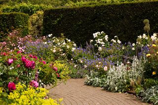 RHS Rosemoor