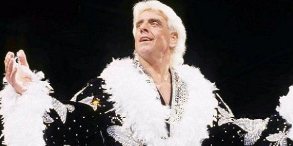 WWE 2K19 Is Getting A Special Ric Flair Wooooo! Edition, Here's What's ...